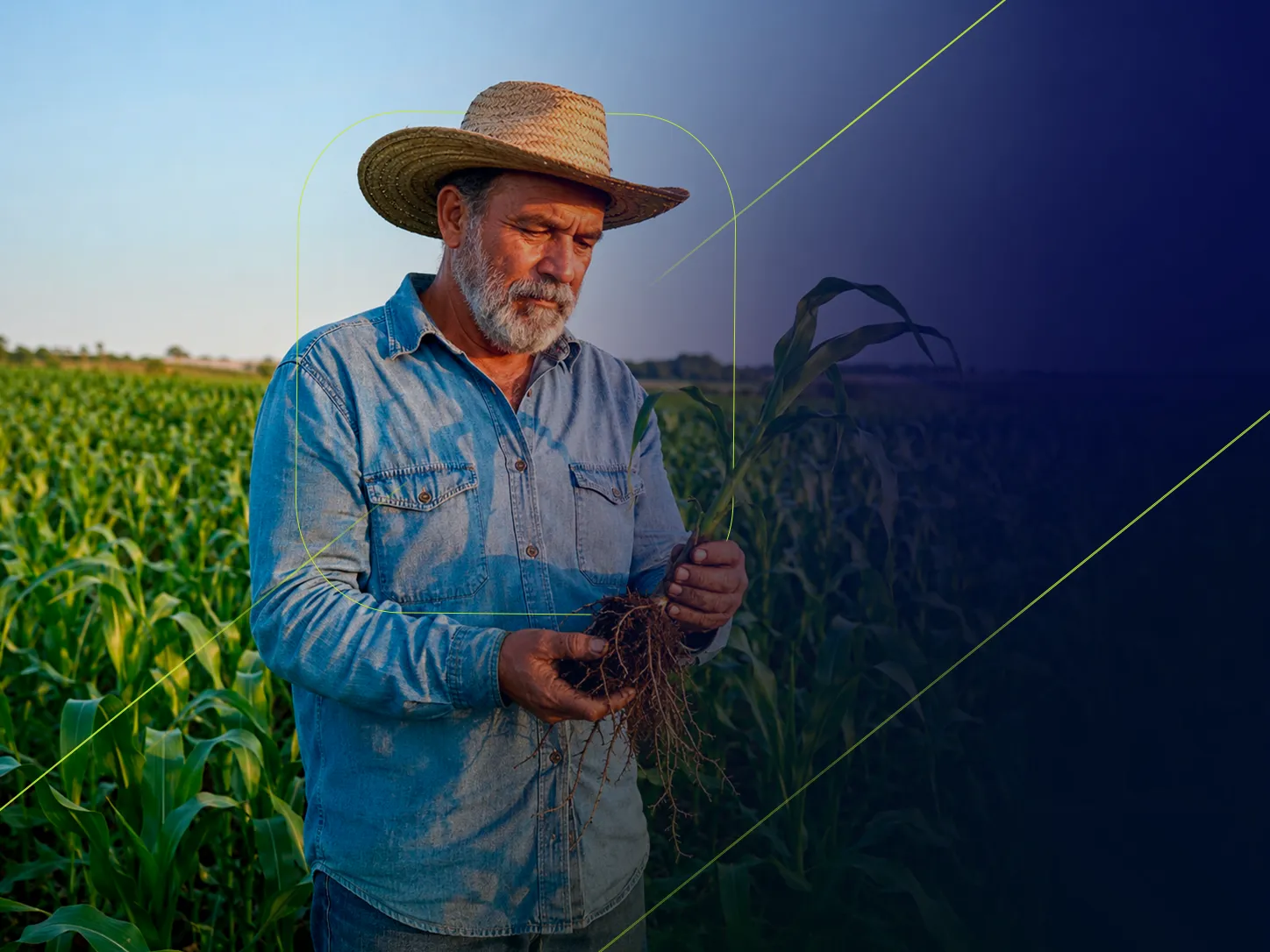 Técnico em Agricultura