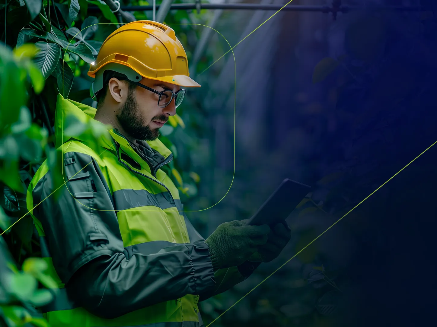 Técnico em Meio Ambiente