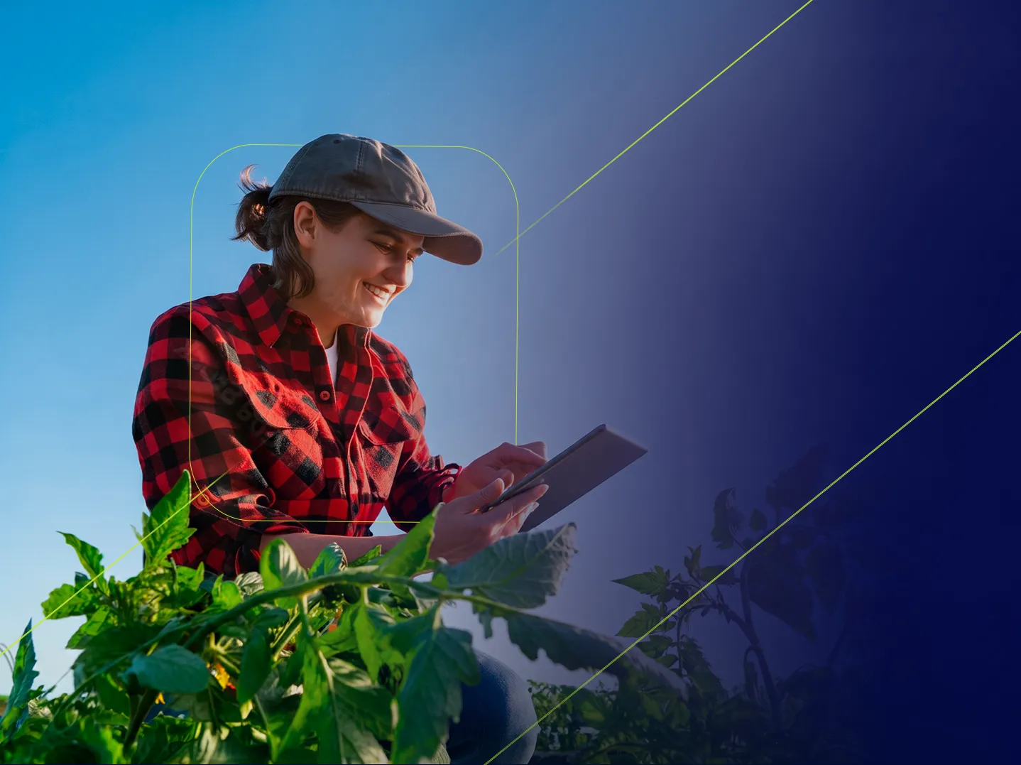 Técnico em Agricultura